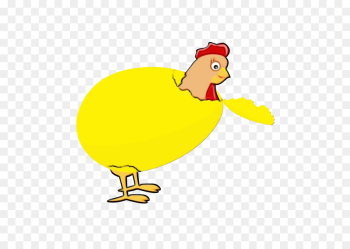 bird yellow cartoon beak chicken bird yellow cartoon beak chicken