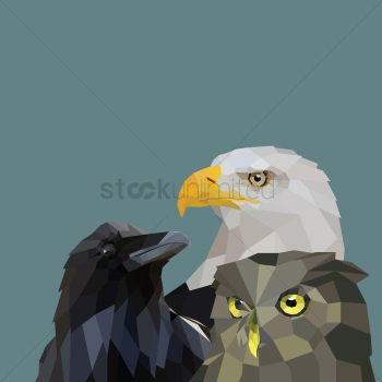 Birds Birds