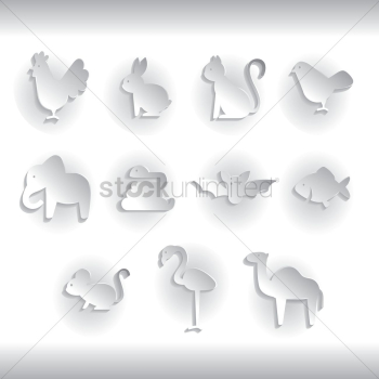 Birds and animals Birds and animals