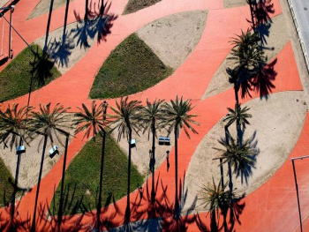 birds eye view of tropical trees birds eye view of tropical trees