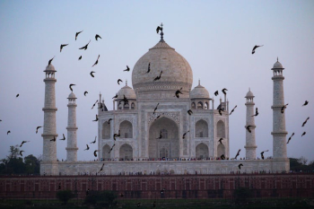 Birds Flying around Taj Mahal Birds Flying around Taj Mahal
