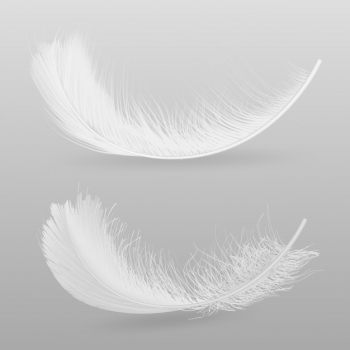 Birds flying or falling down white, fluffy feathers 3d realistic vector illustration isolated on grey background. softness and fragility symbol. tenderness and purity concept decorative design element Free Vector