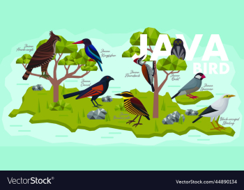 birds of java birds of java