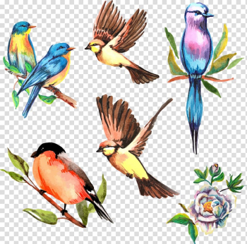 Birds painting , watercolor flower bird transparent background PNG clipart Birds painting , watercolor flower bird transparent background PNG clipart