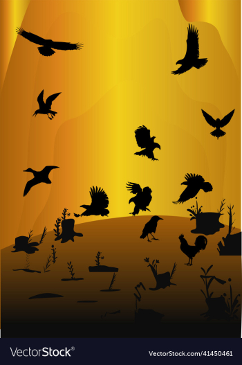 birds silhouette pack birds silhouette pack