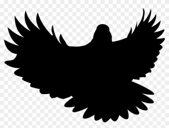 Birds,the Silhouette, - Birds,the Silhouette, Birds,the Silhouette, - Birds,the Silhouette,