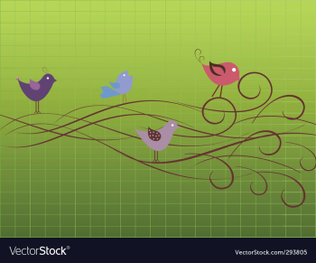 Birds vector image Birds vector image