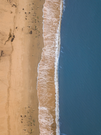 Birds view Birds view