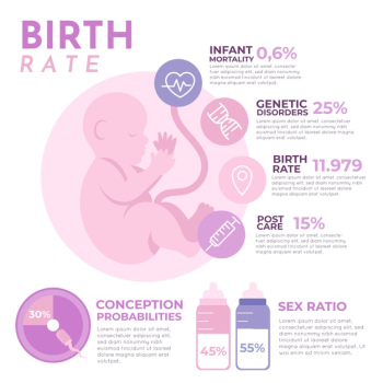 Birth rate infographic Free Vector