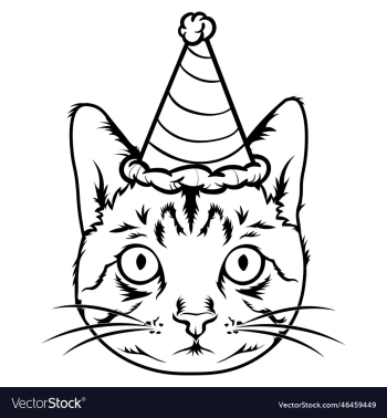 birthday cat birthday cat