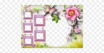 Birthday Collage Frame Png Image - Birthday Collage Frame Png