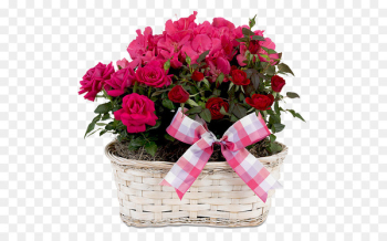 Birthday u041au0441u0435u043du0438u044f Holiday Ansichtkaart Greeting card - Baskets Rose Rose 