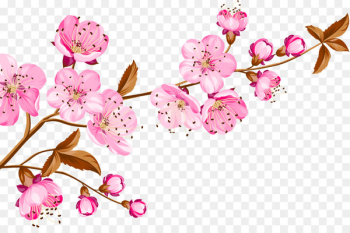 Birthday Wish Wedding invitation Gratitude Happiness - Vector cherry blossoming 