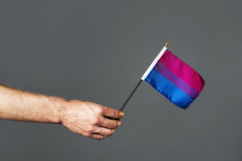 Bisexual Pride Flag Bisexual Pride Flag
