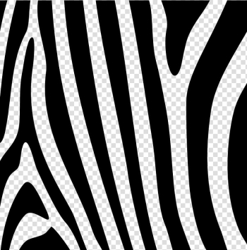 Black and blue illustration, Zebra Gratis, Zebra transparent ...