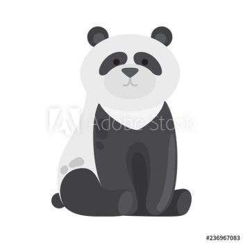 Black and white animal panda bear Black and white animal panda bear