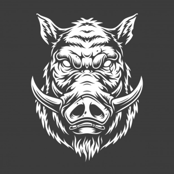Black and white boar head Free Vector Black and white boar head Free Vector
