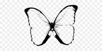 Black And White Butterfly Clipart - Butterfly Png Black And White Black And White Butterfly Clipart - Butterfly Png Black And White