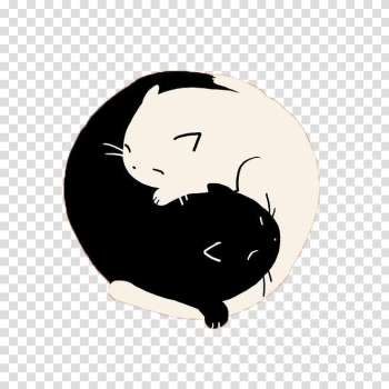 Black and white cat illustration, Black cat Yin and yang T-shirt, Hand-painted black and white cat transparent background PNG clipart