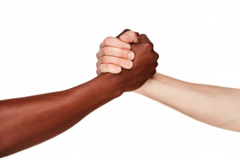 Black and white hands doing handshake Free Photo Black and white hands doing handshake Free Photo