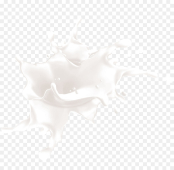 Black and white Pattern - Creative milk Black and white Pattern - Creative milk