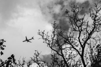 Black-and-White Photography of Airplane Black-and-White Photography of Airplane