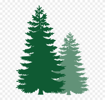 Black And White Pine Tree Clipart
