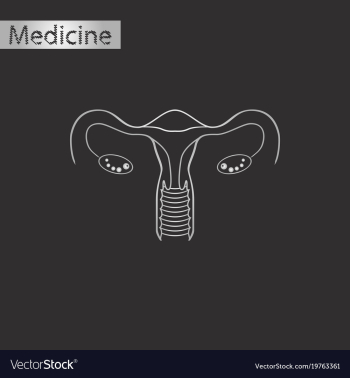 Black and white style icon of female reproductive vector image