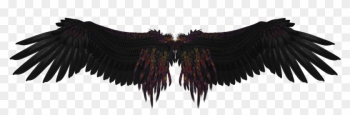Black Angel Wings Png Background Image - Dark Angel Wings ...