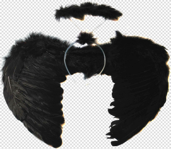 Black Angel Wings Transparent Image Black Angel Wings Transparent Image