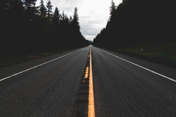 Black Asphalt Road Between Trees Black Asphalt Road Between Trees