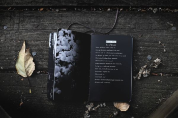 black audio book black audio book