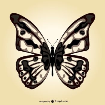 Black butterfly Black butterfly