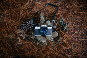 Black Camera Black Camera