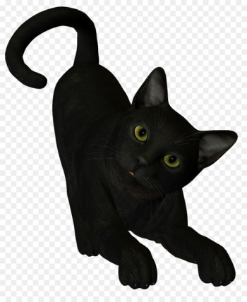 Black cat Boszorkxe1ny - witch cat Black cat Boszorkxe1ny - witch cat