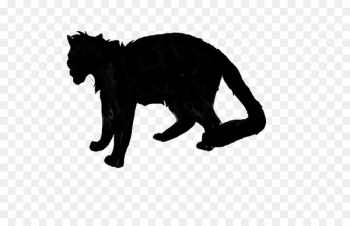Black cat Dog Mammal Canidae - Black cat Dog Mammal Canidae -