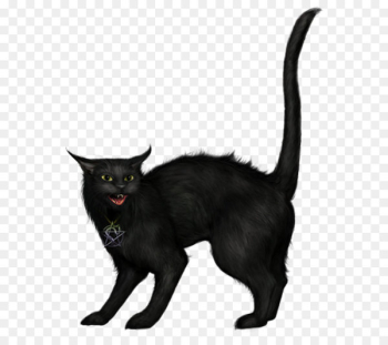 Black cat Halloween Clip art - Creepy Black Cat PNG Picture Black cat Halloween Clip art - Creepy Black Cat PNG Picture