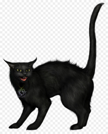 Black cat Halloween Clip art - Witch Cat Black cat Halloween Clip art - Witch Cat