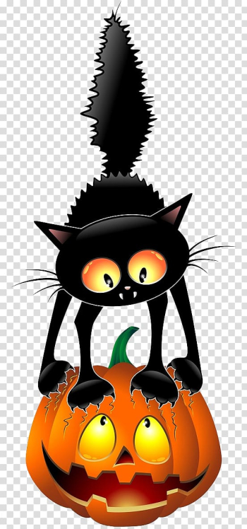 Black cat Halloween , Halloween Cat transparent background PNG clipart Black cat Halloween , Halloween Cat transparent background PNG clipart