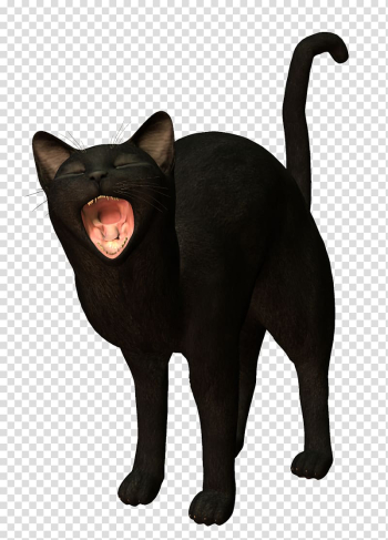 Black cat Kitten, Black Cat transparent background PNG clipart Black cat Kitten, Black Cat transparent background PNG clipart