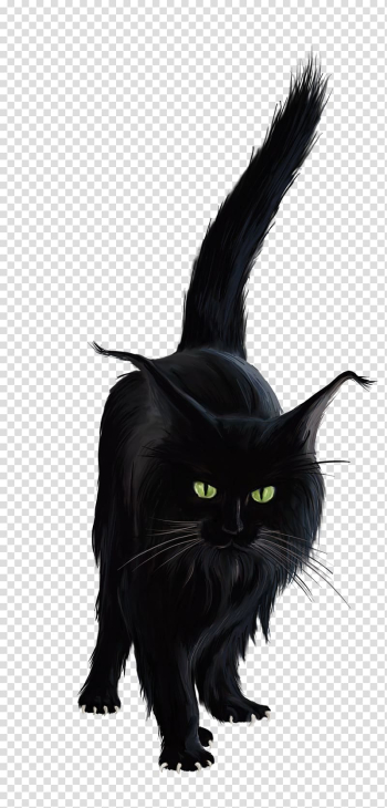 Black cat Kitten , Black Cat transparent background PNG clipart Black cat Kitten , Black Cat transparent background PNG clipart