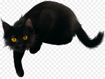 Black cat Kitten Clip art - cats Black cat Kitten Clip art - cats