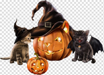 Black cat Kitten Halloween witch, kitten transparent background PNG clipart Black cat Kitten Halloween witch, kitten transparent background PNG clipart