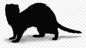 Black cat Kitten Whiskers Dog - Black cat Kitten Whiskers Dog -