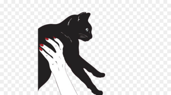 Black cat Meow Cat behavior - Cat Black cat Meow Cat behavior - Cat