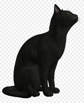 Black Cat Png Clipart 552 - Black Cat Png Black Cat Png Clipart 552 - Black Cat Png