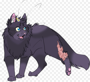 Black cat Warriors Whiskers Erin Hunter - cat Black cat Warriors Whiskers Erin Hunter - cat