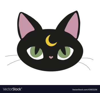 black cat witch cat halloween with moon black cat witch cat halloween with moon