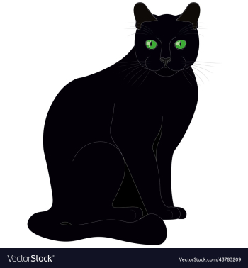black cat with green eyes black cat with green eyes