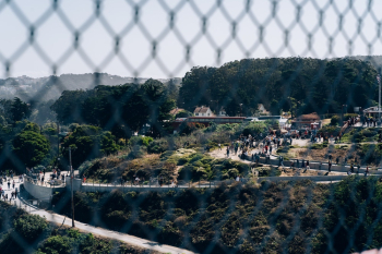 Black Chain-link Fence